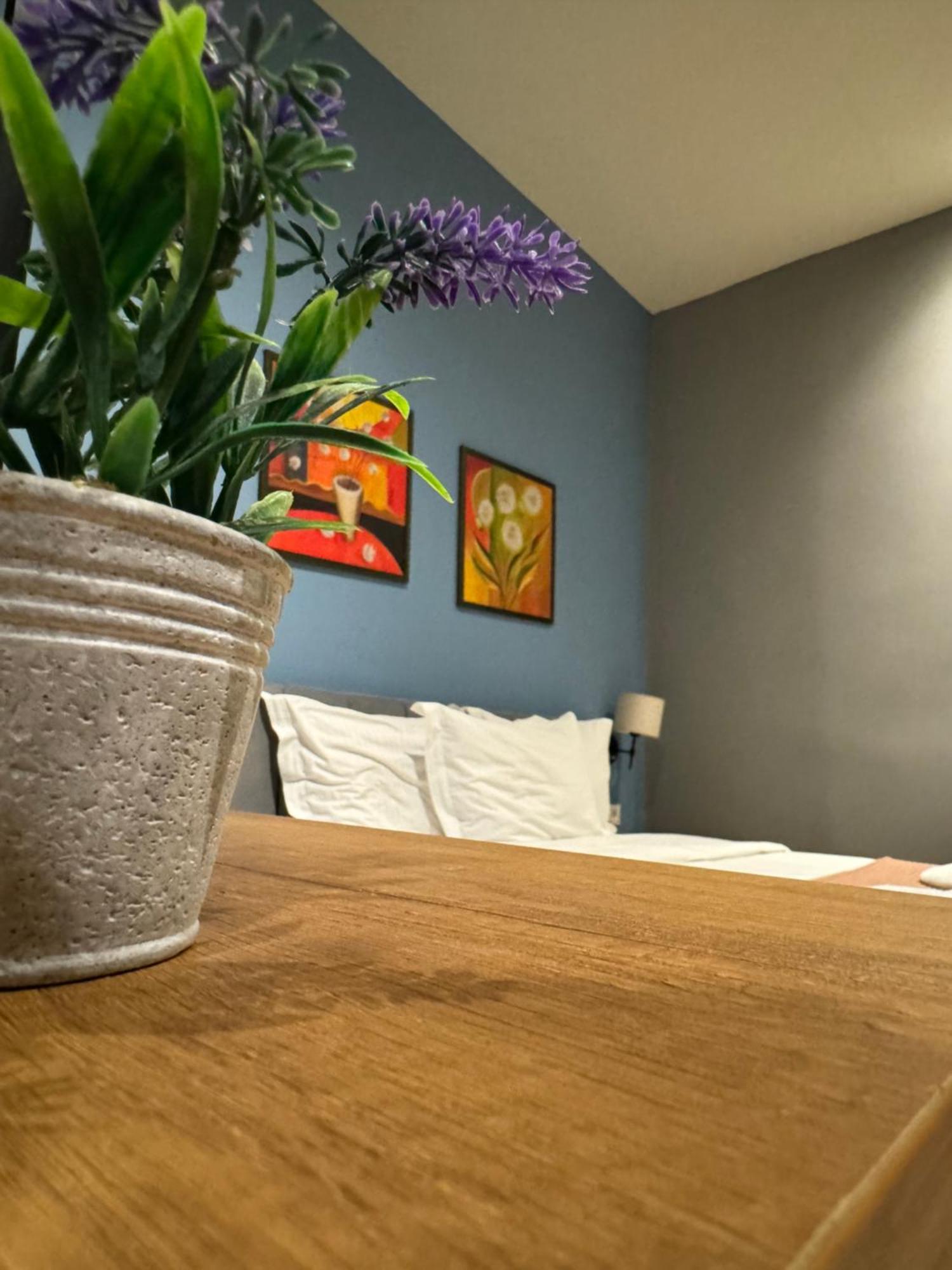 Hotel Tirona Τίρανα Εξωτερικό φωτογραφία